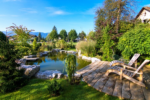 Maintaining Outdoor Ponds in San Diego, CA