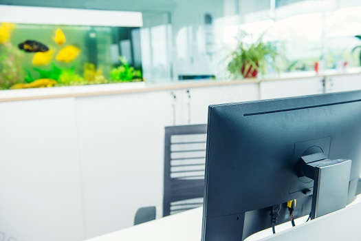 4 Benefits of Having an Aquarium in Your Office in San Diego, CA