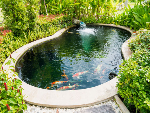 Water Change in Koi Ponds San Diego, CA