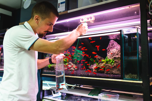 6 Questions to Ask the Experts at an Aquarium Store - What To Ask Aquarium Expert